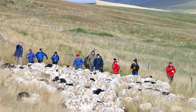 Endurnýjun innan bændastéttarinnar forsenda fæðuöryggis