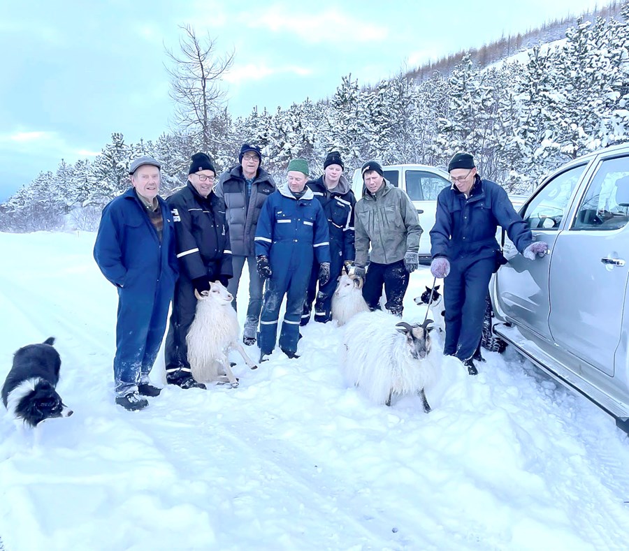 Á myndinni eru frá vinstri: Tara frá Sýrnesi, Vésteinn Garðarsson á Vaði, Benedikt Arnbjörnsson á Bergsstöðum, Ragnar Þorsteinsson í Sýrnesi, Böðvar Baldursson og Arnþór Máni Böðvarsson í Heiðargarði, Steingrímur Vésteinsson á Vaði, Embla frá Heiðargarði og Sveinbjörn Þór Sigurðsson á Bústöðum, en hann heldur í gimbur sem varð bandvön við smölunina.