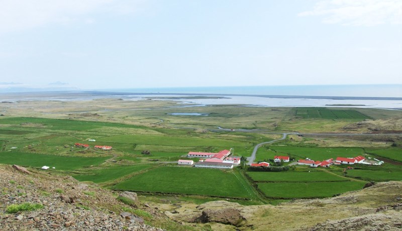 Þegar Þokugenið var fundið