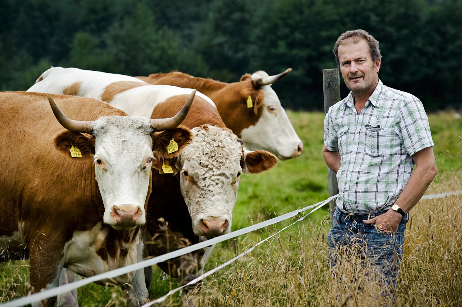 Milliliðalaus viðskipti með búvörur á Facebook