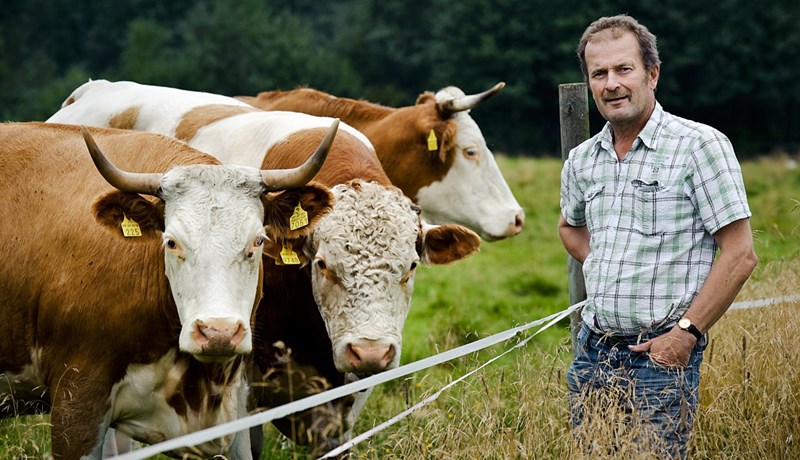 Milliliðalaus viðskipti með búvörur á Facebook