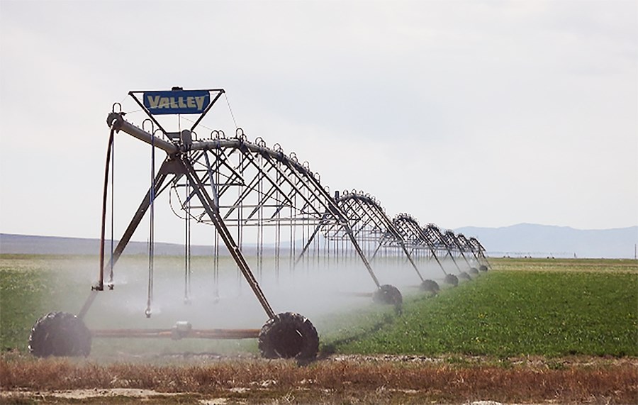 Gríðarlegu vatnsmagni er dælt upp úr grunnvatnslindum við ræktun á refasmára í Kaliforníu og Arizona.