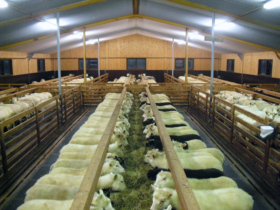 Frá fyrsta pistli hefur mér persónulega fundist mest hafa áunnist í snyrtimennsku til sveita.