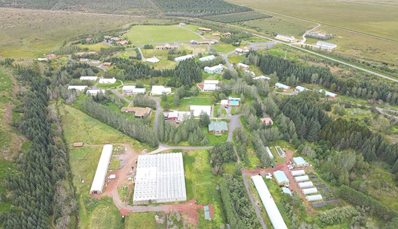 Fjallað um lífræna ræktun frá öllum hliðum