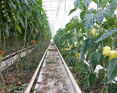 Aðgerðir til stuðnings sjálfbærum landbúnaði