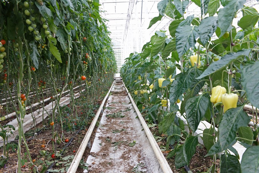 Aðgerðir til stuðnings sjálfbærum landbúnaði