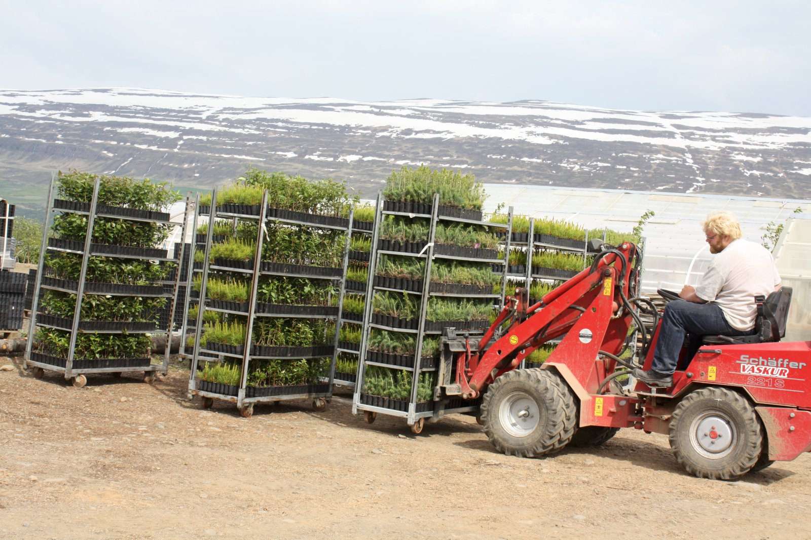 Sk&#243;garpl&#246;ntuframlei&#240;endur vilja betri rekstrargrundv&#246;ll