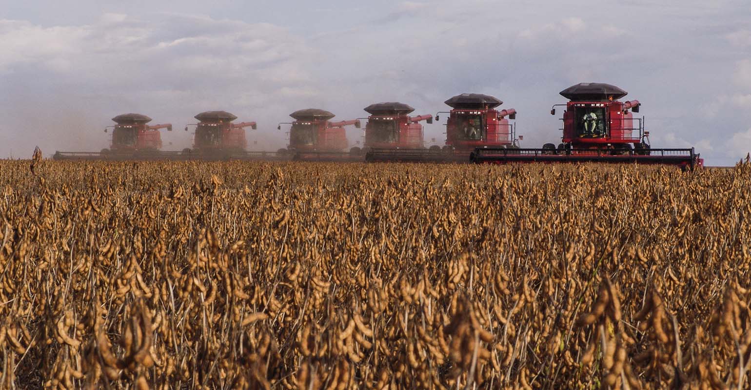 Erfðabreytt ræktun á  190 milljón hekturum