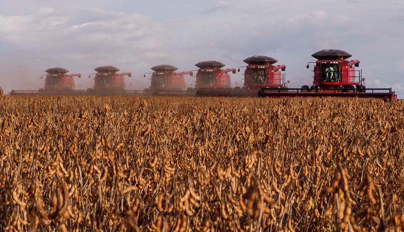 Erfðabreytt ræktun á 190 milljón hekturum