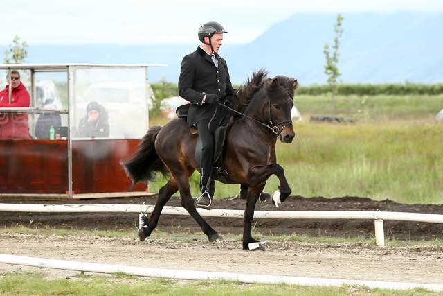 Spuni frá Vesturkoti  hlýtur Sleipnisbikarinn