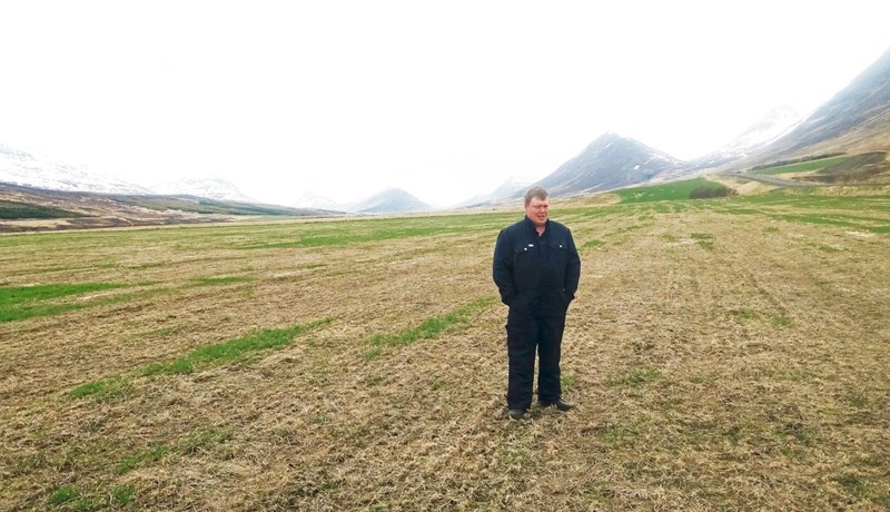 Tún eru víða illa kalin