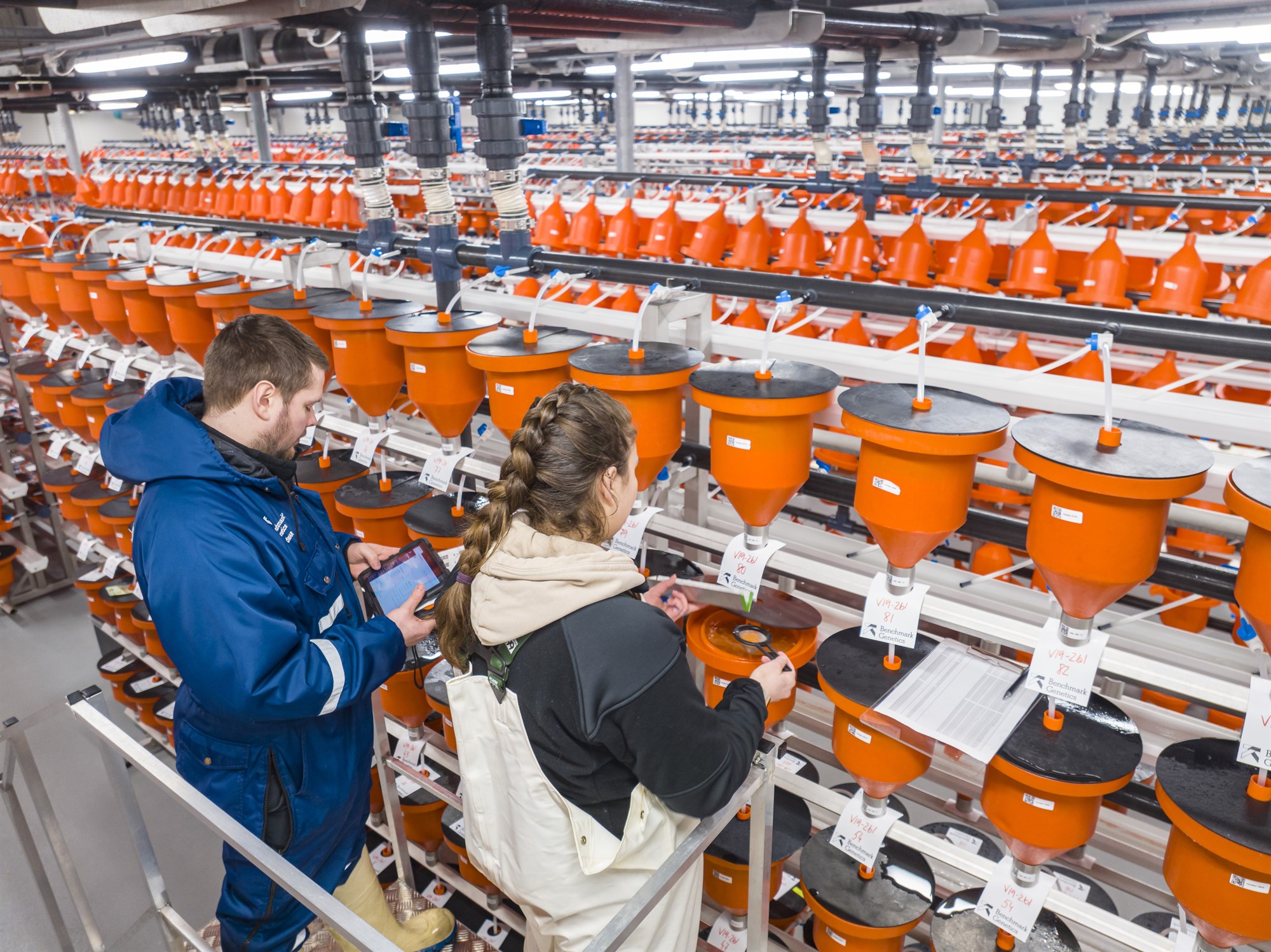 Gífurlegt svigrúm til kynbótaframfara