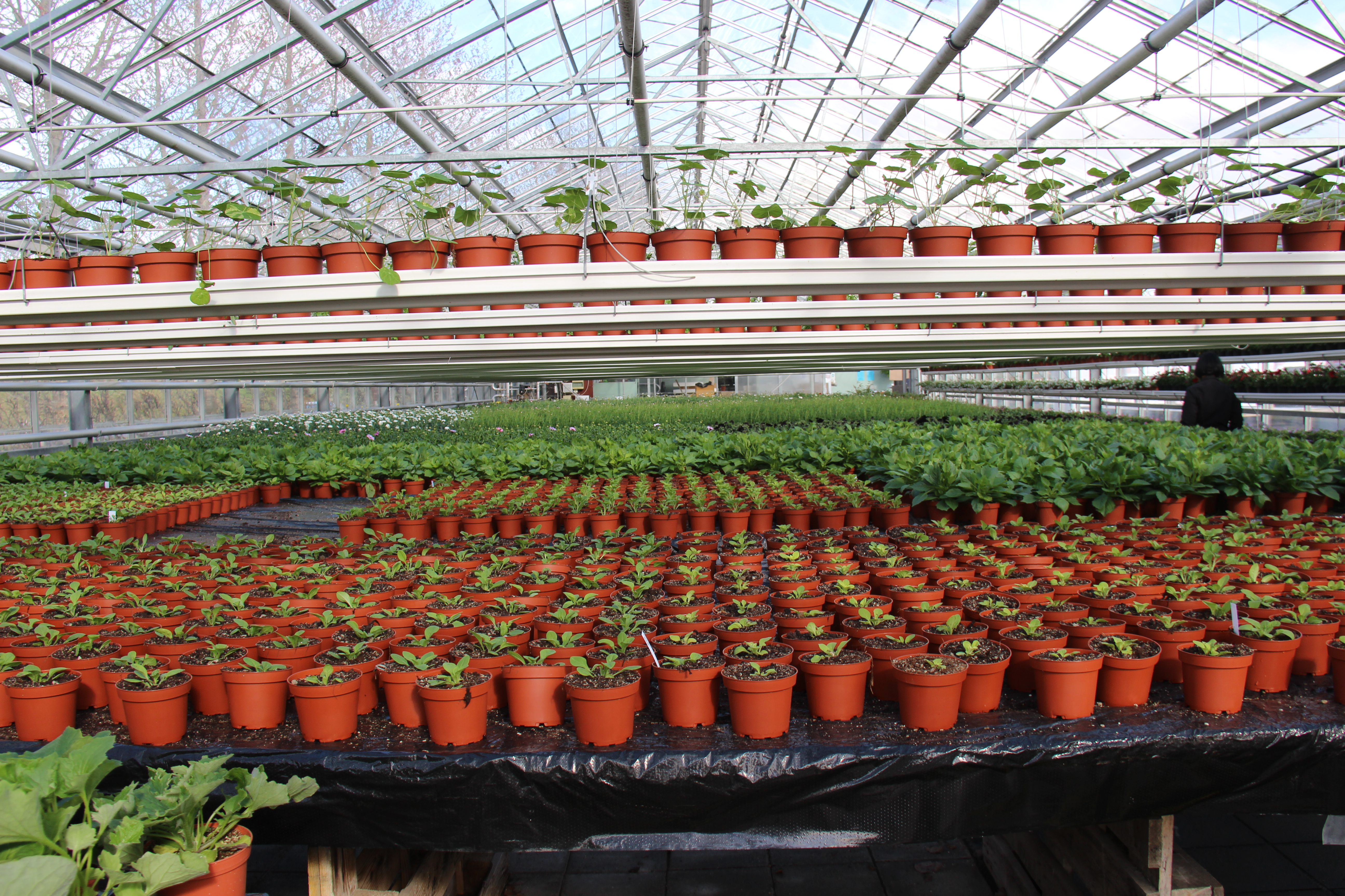 Hagnýtt og áhugavert nám