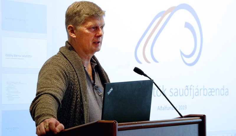 Birgðir dilkakjöts hafa sjaldan verið minni og horfur á skorti á hryggjum