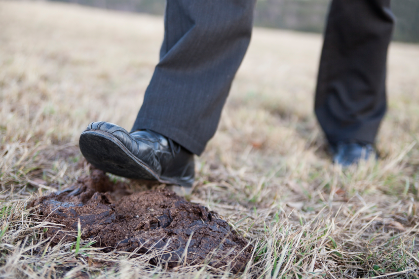 Mykja, &#243;&#254;efur og umhverfisspj&#246;ll