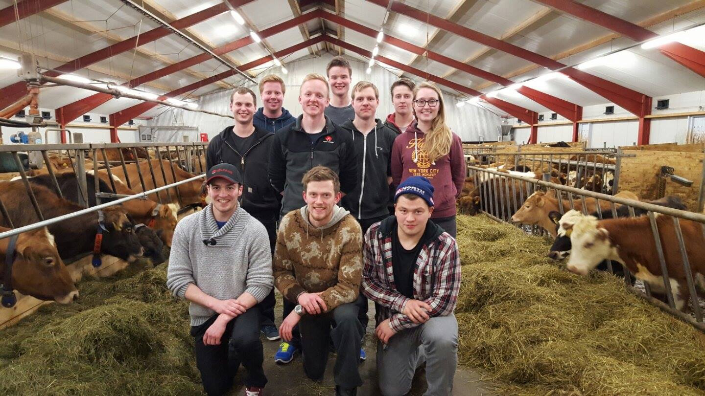 Kúavinafélagið Baula