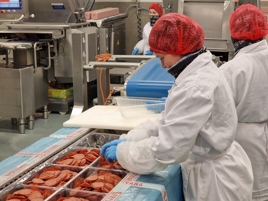 Meginstarfsemi Stjörnugríss er rekstur á kjötvinnslu og sala á matvöru. Meðal vörumerkja þeirra eru Stjörnugrís, Stjörnunaut og Stjörnufugl.