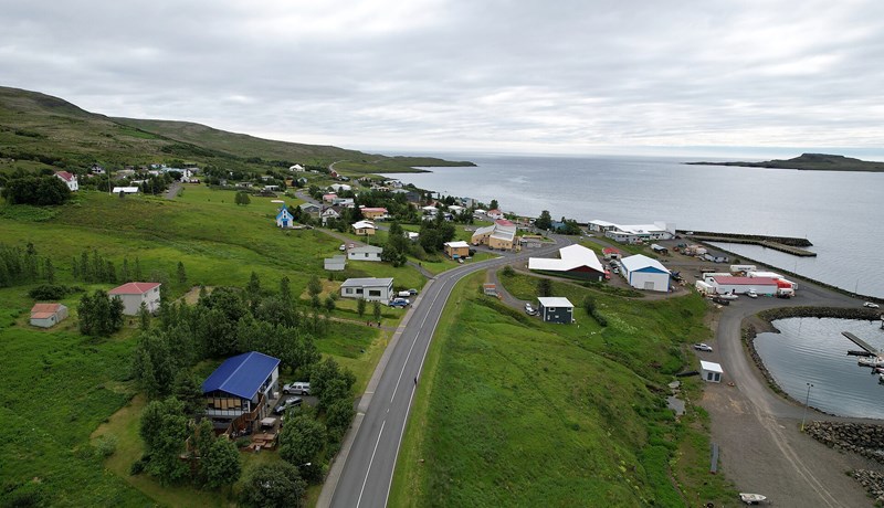 Sýknuð vegna ágangs sauðfjár