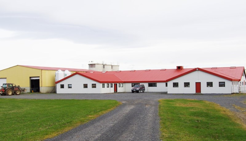 Tilraun á Tilraunabúinu Stóra-Ármóti 2016