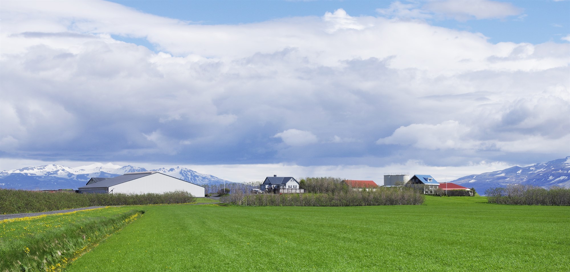 Kaupa Stóru-Hildisey II og flytja kýr og kvóta suður