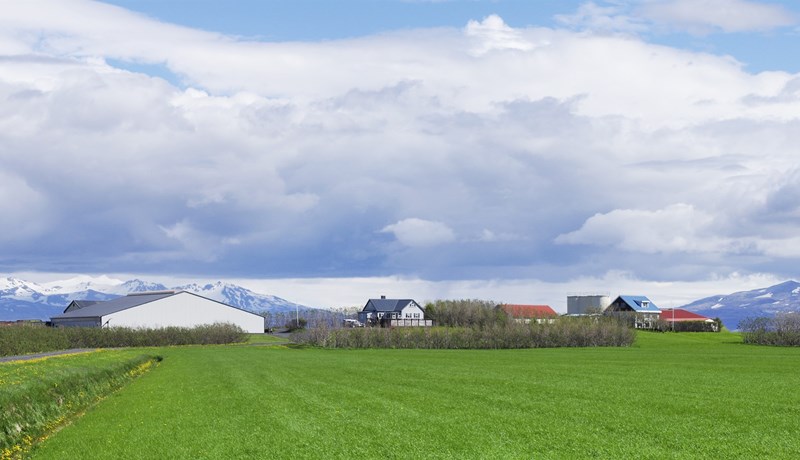 Kaupa Stóru-Hildisey II og flytja kýr og kvóta suður