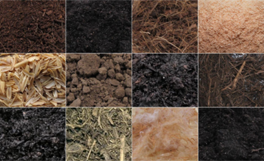 Hvað á að nota í staðinn fyrir sphagnum í garðyrkju?