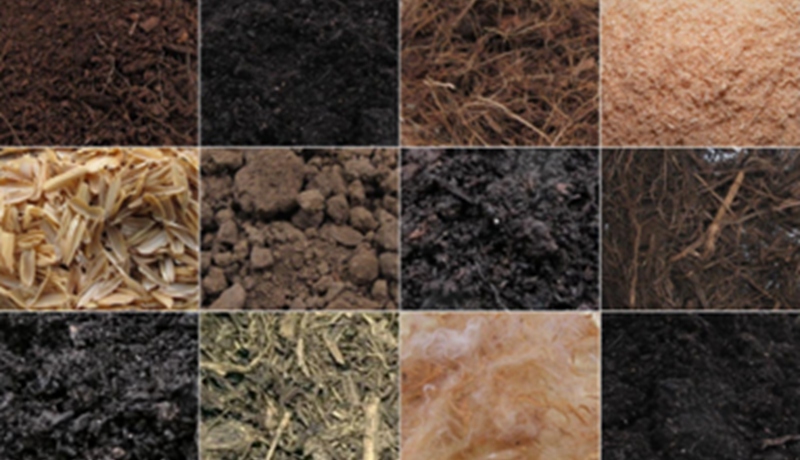 Hvað á að nota í staðinn fyrir sphagnum í garðyrkju?