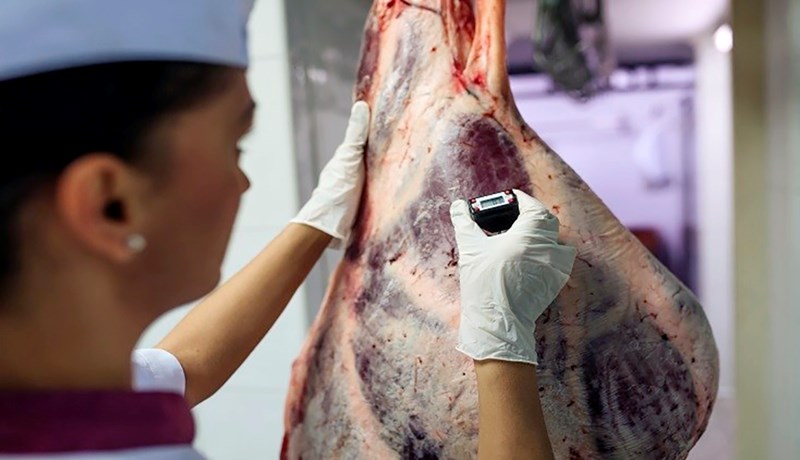 Útrunnið og ónýtt kjöt selt úr landi undir fölskum pappírum