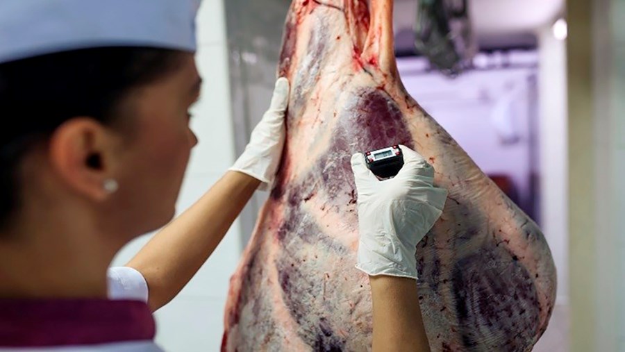 Enn eitt svindlið með sölu í ESB löndunum skekur nú markaðinn í Belgíu. Þar var útrunnið og ónýtt kjöti selt úr landi á fölskum pappírum og nýtt í hakk og tilbúna rétti í þrem löndum.