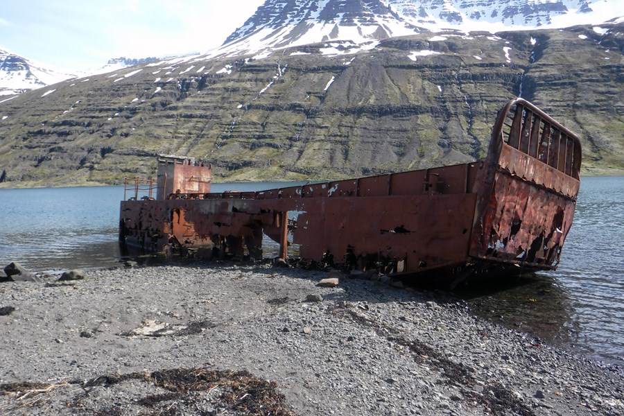 Hvað ungur nemur, gamall temur, í forvörnum er þetta stundum öfugt