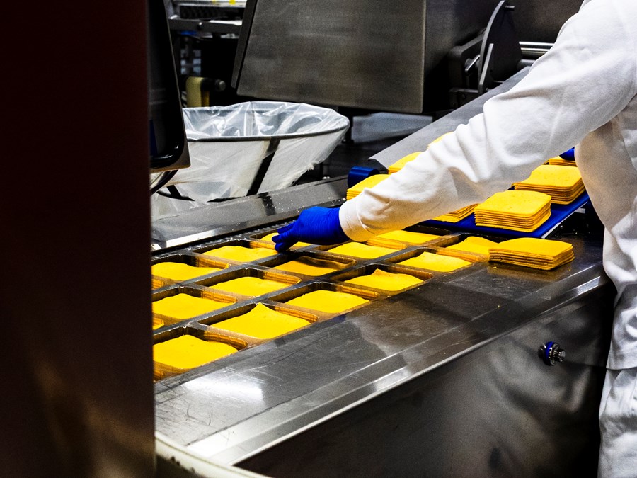 Osti pakkað hjá Mjólkursamsölunni. 