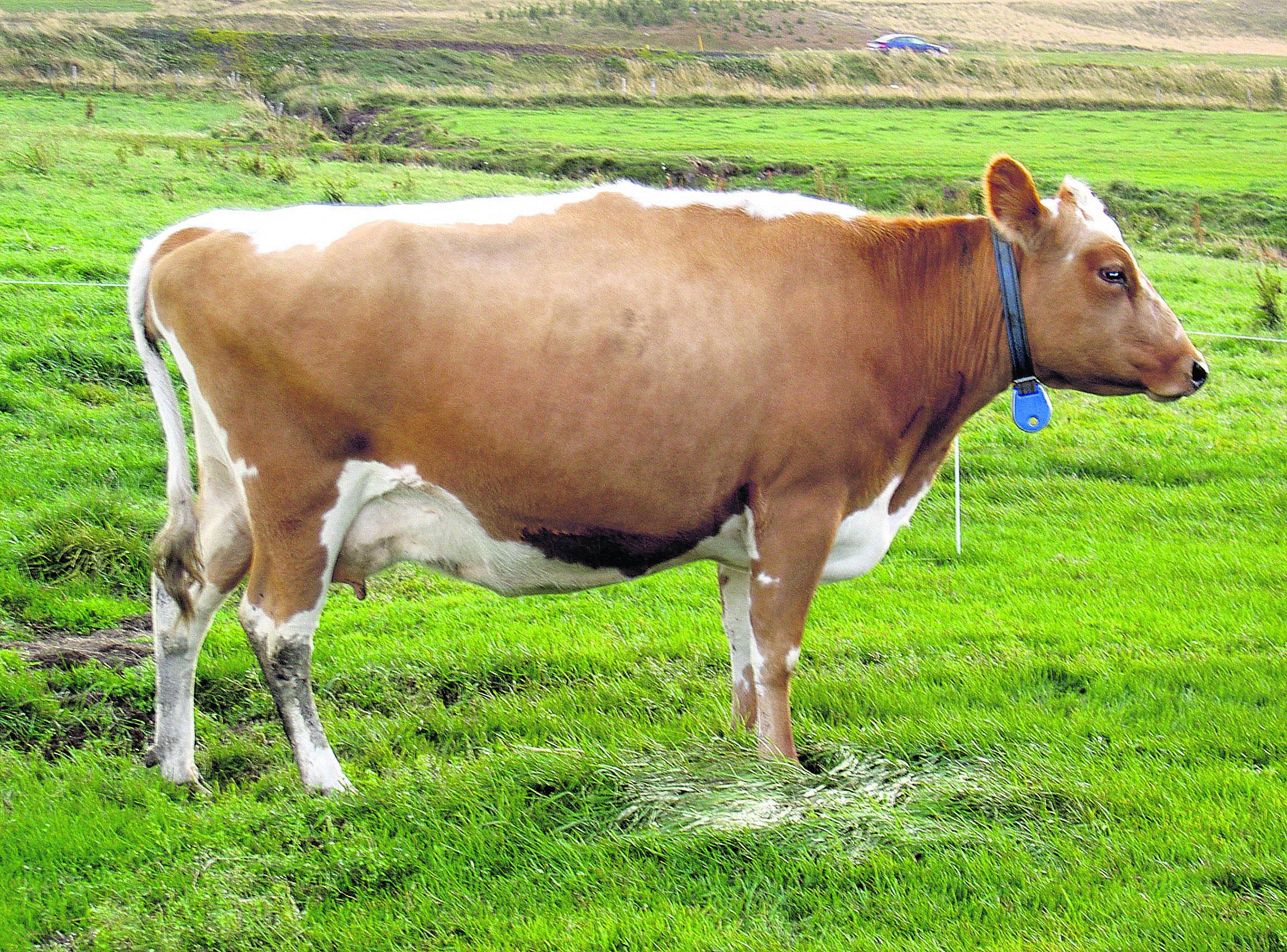 Kúabændur - styðjum samkomulagið