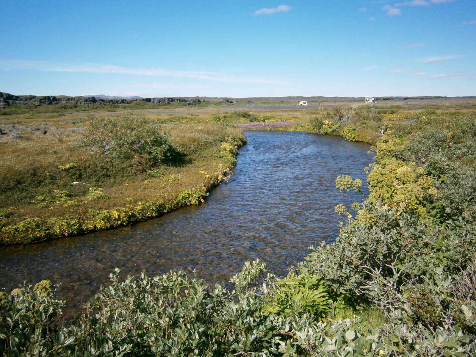 Þingsályktunartillaga um endurskoðun á lagaumhverfi varðandi uppkaup á landi