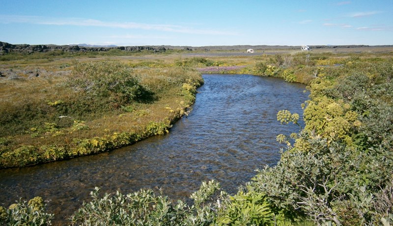 Þingsályktunartillaga um endurskoðun á lagaumhverfi varðandi uppkaup á landi