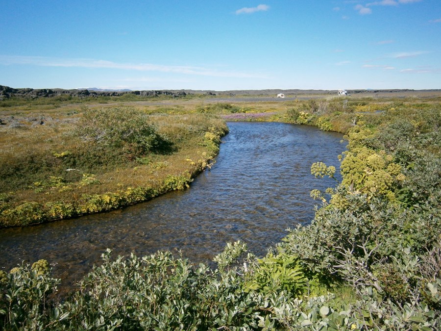 Þingsályktunartillaga um endurskoðun á lagaumhverfi varðandi uppkaup á landi
