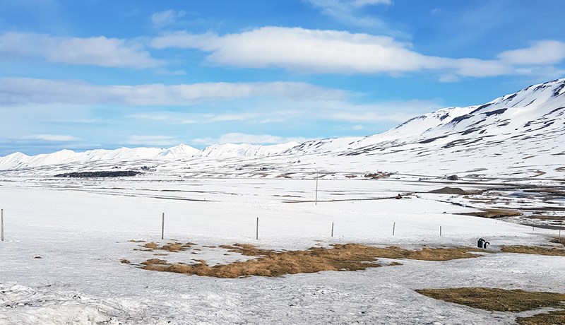 Víða kal í túnum norðan heiða