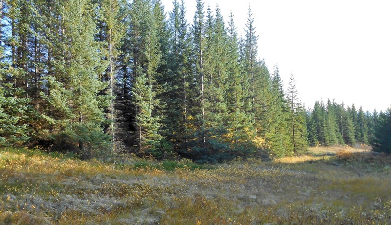 Umræðan um loftslagsmál hefur oft og tíðum einkennst af upphlaupum og upphrópunum