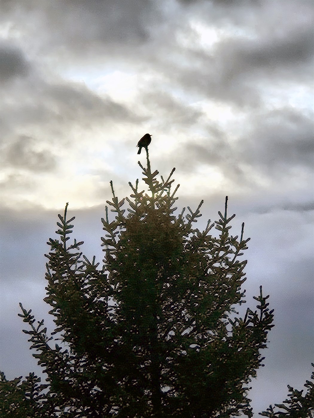 Nýtt smit gæti borist