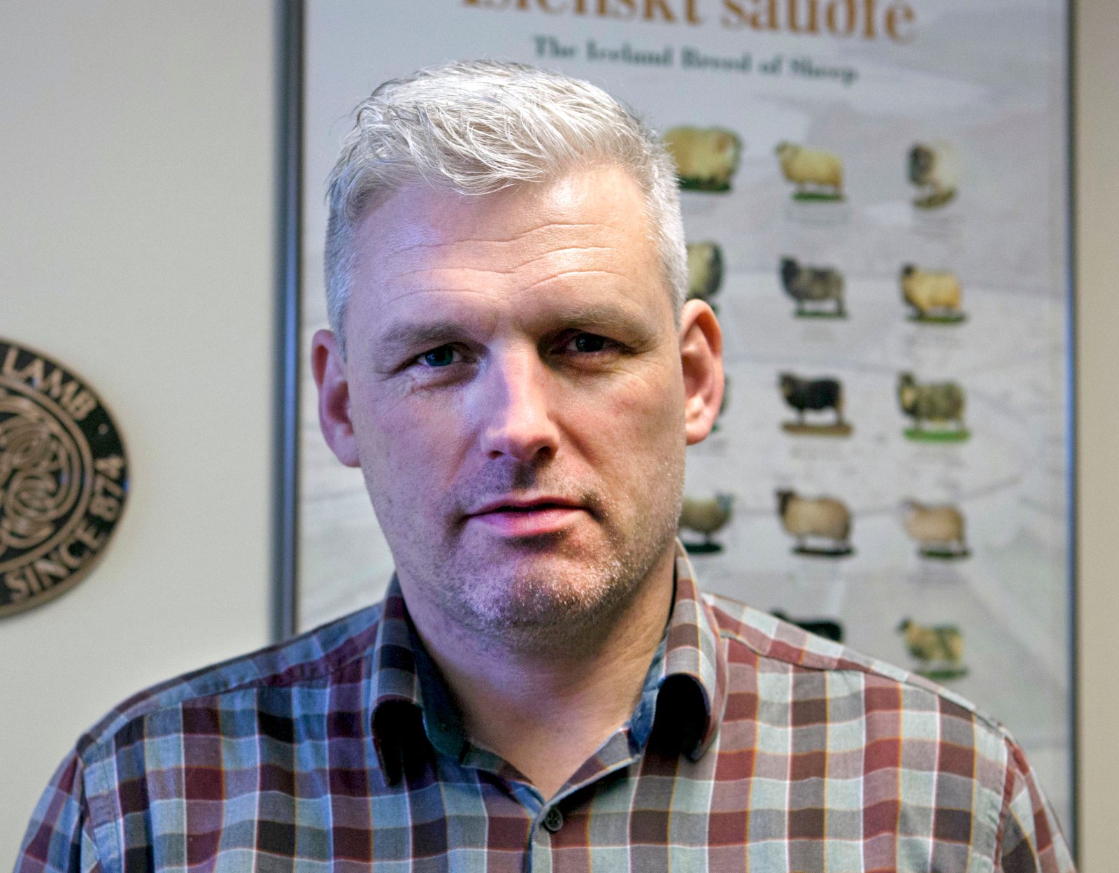 Kolefnisjafnað Ísland