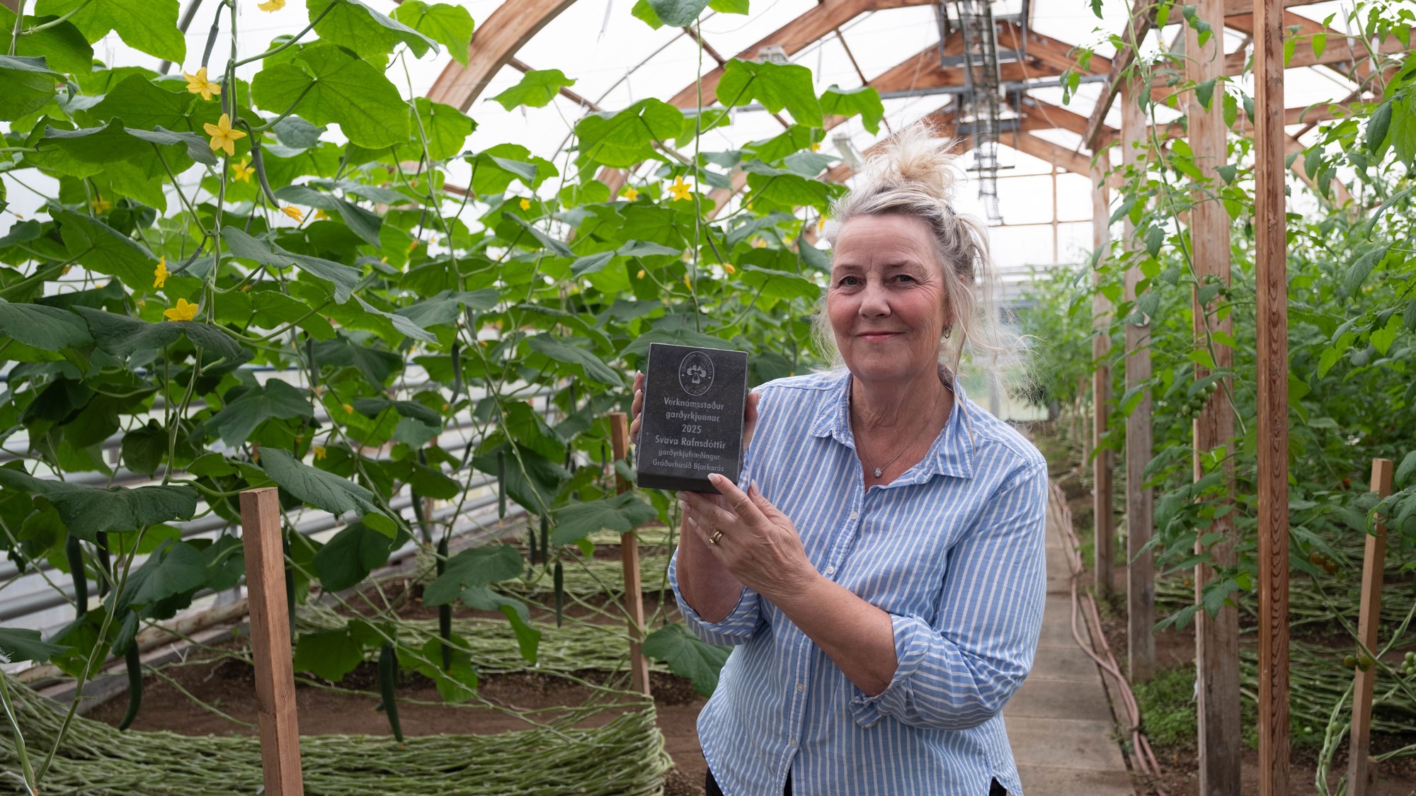 Elsta starfandi lífrænt vottaða garðyrkjustöðin