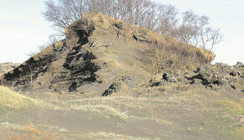 Eignarhald á landi og umfang gróður- og jarðvegseyðingar á miðöldum