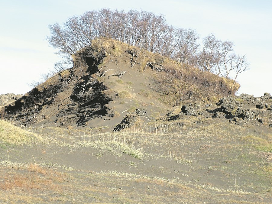 Eignarhald á landi og umfang gróður-  og jarðvegseyðingar á miðöldum
