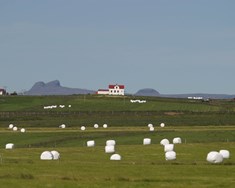 Neytendur vilja vita hvaðan maturinn kemur