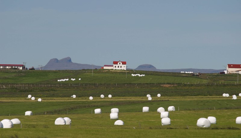 Að ganga erinda bænda