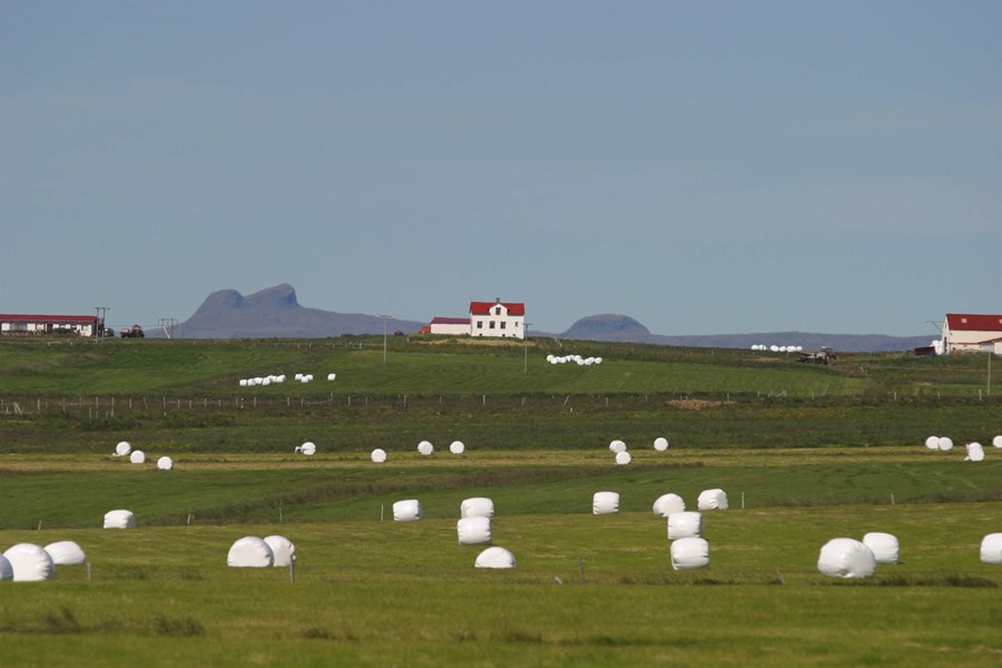 Að ganga erinda bænda