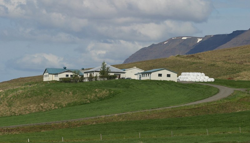 Stjórnarsáttmáli nýrrar ríkisstjórnar kynntur - Sjálfstæðisflokkurinn með landbúnaðarmálin