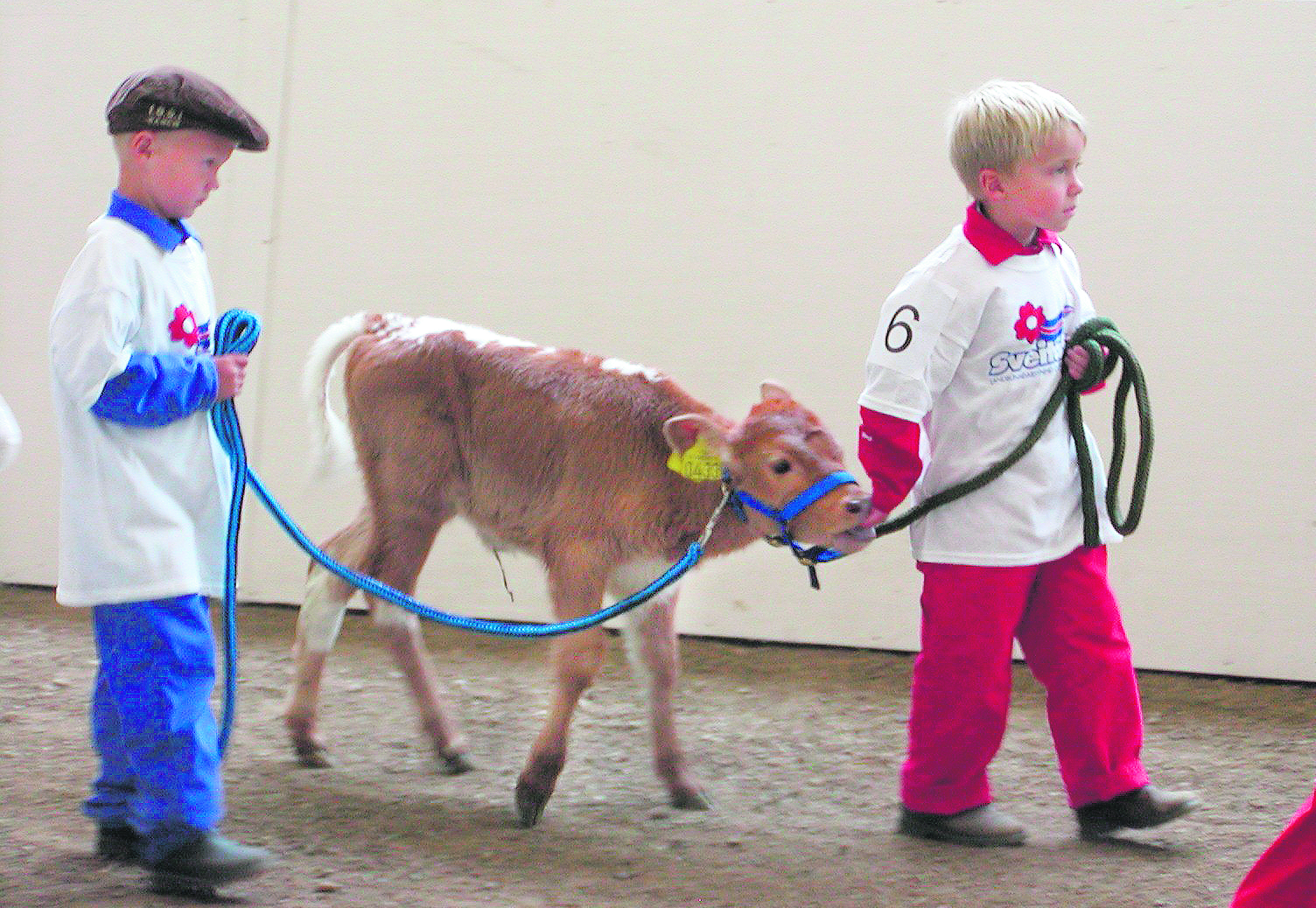 Sveitasæla í Skagafirði