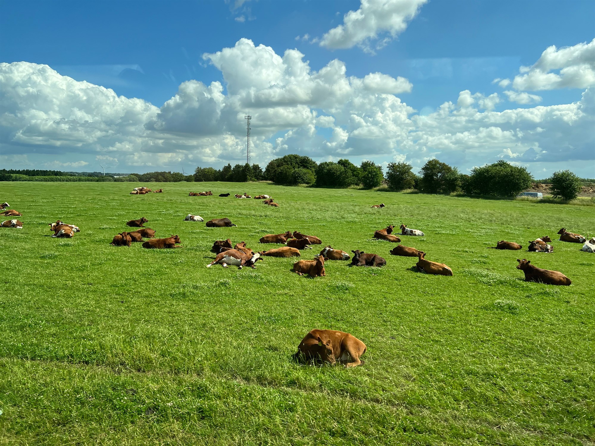 Framtíð landbúnaðar á óvissutímum