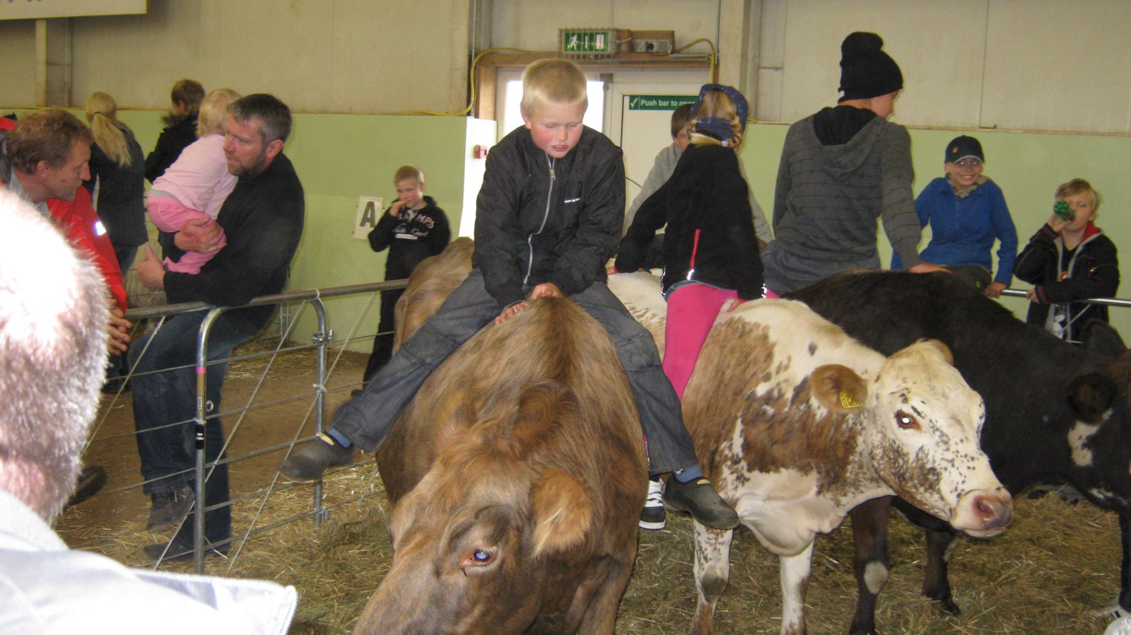 Sveitasæla í Skagafirði