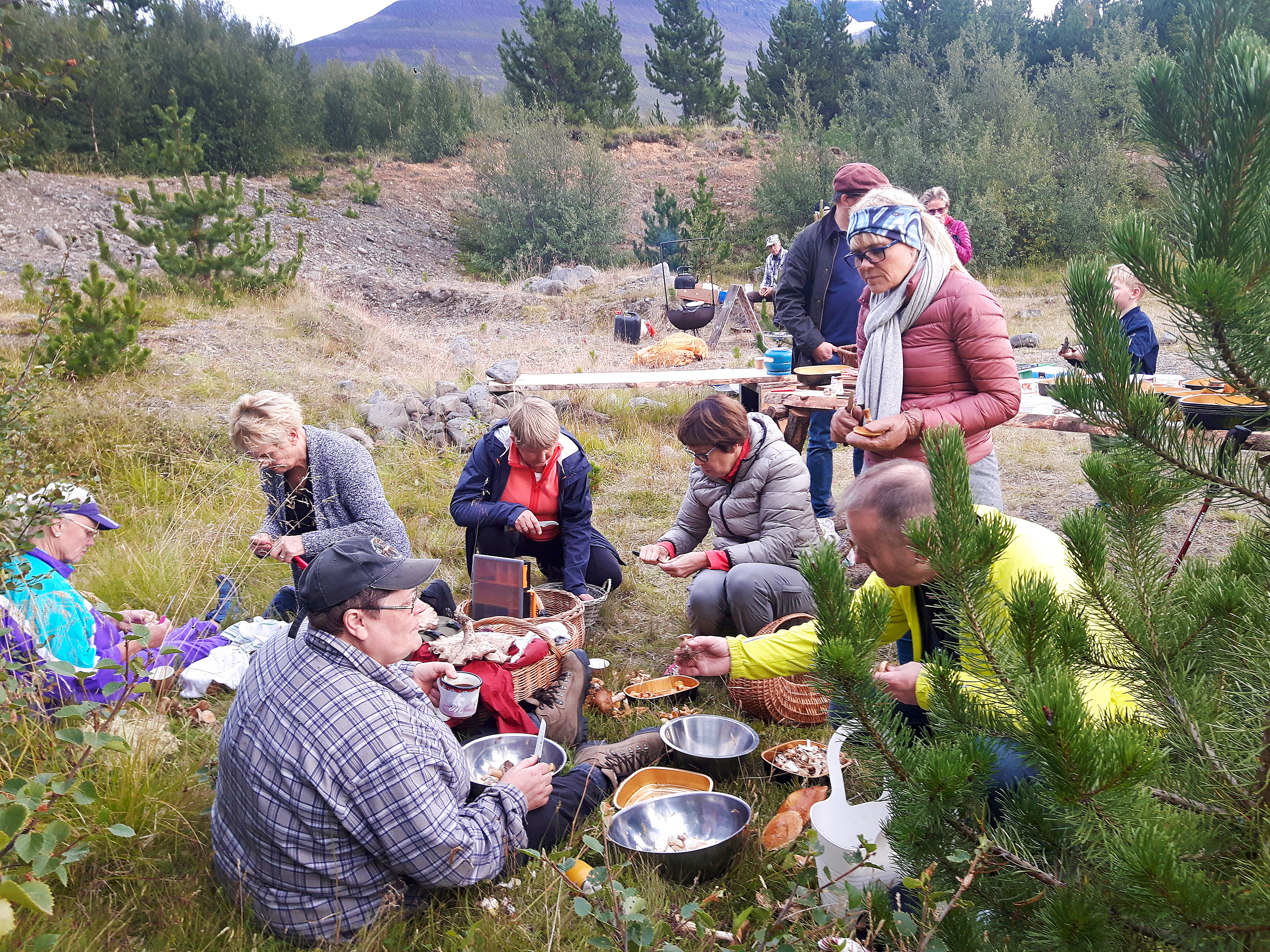 Sveppauppskera í tæpu meðallagi